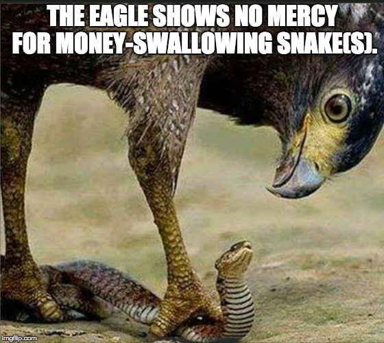 THE EAGLE SHOWS NO MERCY FOR MONEY-SWALLOWING SNAKE(S). | made w/ Imgflip meme maker