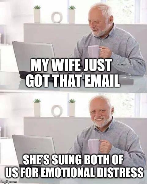 MY WIFE JUST GOT THAT EMAIL SHE’S SUING BOTH OF US FOR EMOTIONAL DISTRESS | made w/ Imgflip meme maker