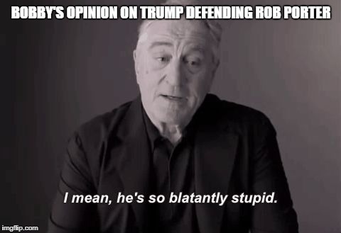 BOBBY'S OPINION ON TRUMP DEFENDING ROB PORTER | image tagged in stupid | made w/ Imgflip meme maker
