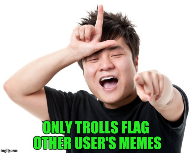 You're a loser | ONLY TROLLS FLAG OTHER USER'S MEMES | image tagged in you're a loser | made w/ Imgflip meme maker