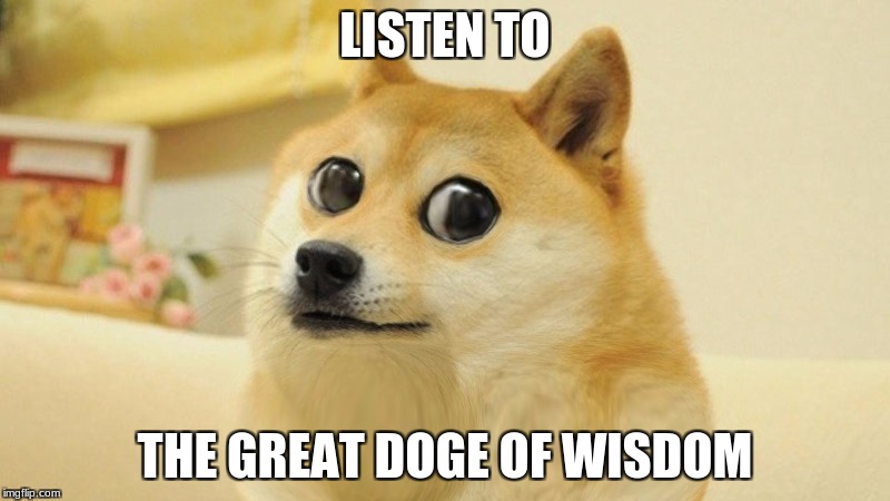 Great Doge Of Wisdom | LISTEN TO; THE GREAT DOGE OF WISDOM | image tagged in doge,edit | made w/ Imgflip meme maker