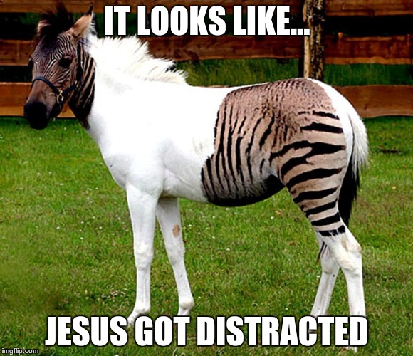 What is this | IT LOOKS LIKE... JESUS GOT DISTRACTED | image tagged in memes | made w/ Imgflip meme maker