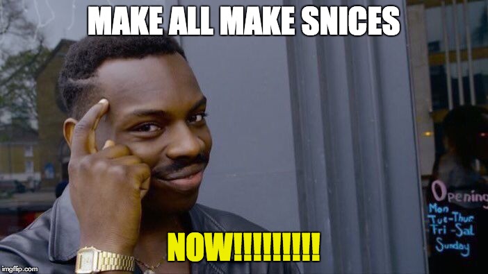 MAKE ALL MAKE SNICES NOW!!!!!!!!! | image tagged in memes,roll safe think about it | made w/ Imgflip meme maker
