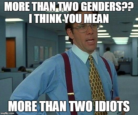 That Would Be Great Meme | MORE THAN TWO GENDERS?? I THINK YOU MEAN; MORE THAN TWO IDIOTS | image tagged in memes,that would be great | made w/ Imgflip meme maker