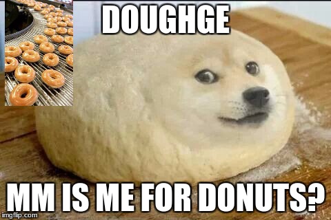 dough doge | DOUGHGE; MM IS ME FOR DONUTS? | image tagged in dough doge | made w/ Imgflip meme maker