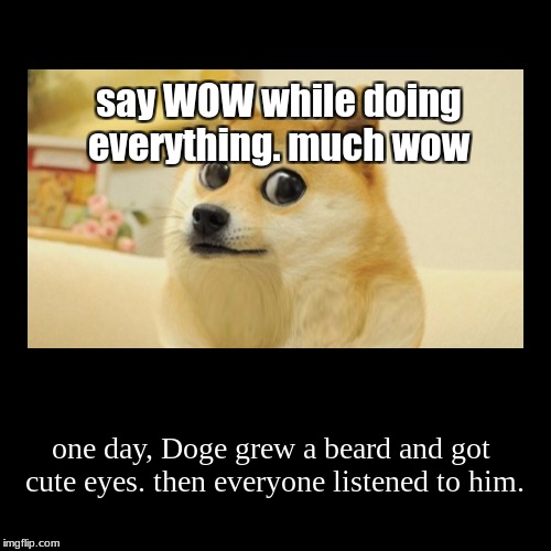 Doge The Wise | image tagged in funny,demotivationals,doge,wise,cute,wow | made w/ Imgflip demotivational maker