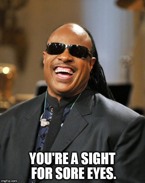Stevie Wonder | YOU'RE A SIGHT FOR SORE EYES. | image tagged in stevie wonder | made w/ Imgflip meme maker