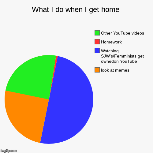 What I do when I get home | look at memes, Watching SJW's/Femminists get ownedon YouTube, Homework, Other YouTube videos | image tagged in funny,pie charts | made w/ Imgflip chart maker