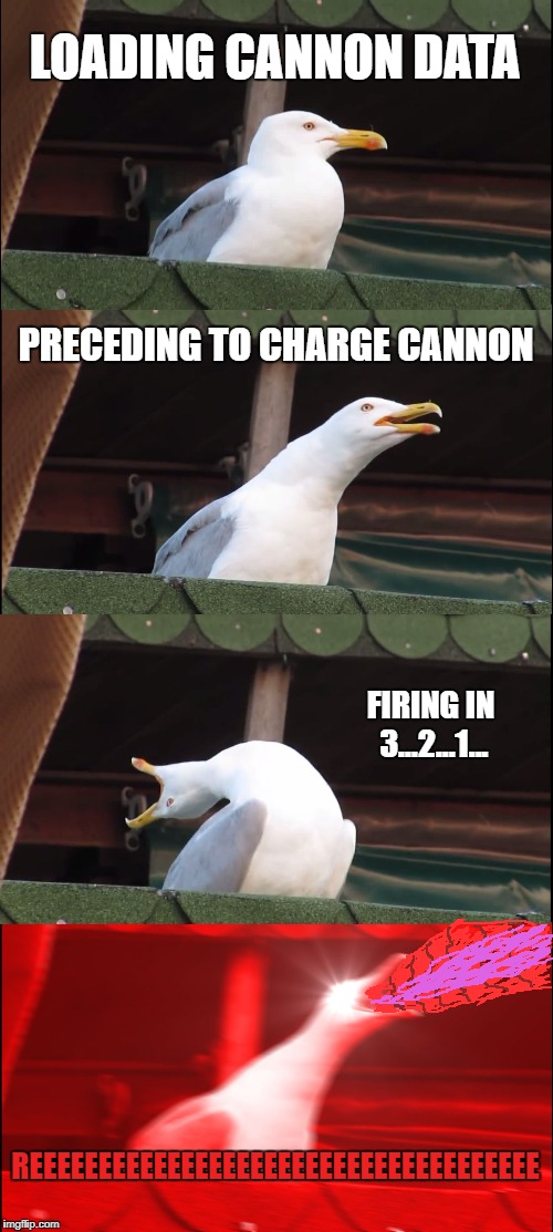 I'ma firing mah LAZOR!!! Seagull Edition | LOADING CANNON DATA; PRECEDING TO CHARGE CANNON; FIRING IN 3...2...1... REEEEEEEEEEEEEEEEEEEEEEEEEEEEEEEEEEEEE | image tagged in memes,inhaling seagull | made w/ Imgflip meme maker