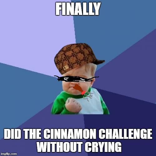 Success Kid | FINALLY; DID THE CINNAMON CHALLENGE WITHOUT CRYING | image tagged in memes,success kid,scumbag | made w/ Imgflip meme maker