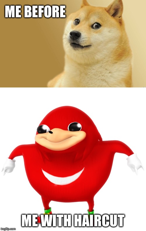 This Is My Life | ME BEFORE; ME WITH HAIRCUT | image tagged in doge,uganda knuckles | made w/ Imgflip meme maker