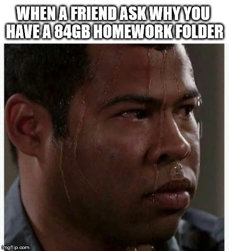 ''homework'' folder | WHEN A FRIEND ASK WHY YOU HAVE A 84GB HOMEWORK FOLDER | image tagged in homework,folder,porn,key  peele | made w/ Imgflip meme maker