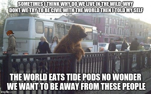 i wonder what it would be like if we were bears | SOMETIMES I THINK WHY DO WE LIVE IN THE WILD. WHY DONT WE TRY TO BE CIVIL WITH THE WORLD THEN I TOLD MY SELF; THE WORLD EATS TIDE PODS NO WONDER WE WANT TO BE AWAY FROM THESE PEOPLE | image tagged in memes,city bear,scumbag | made w/ Imgflip meme maker
