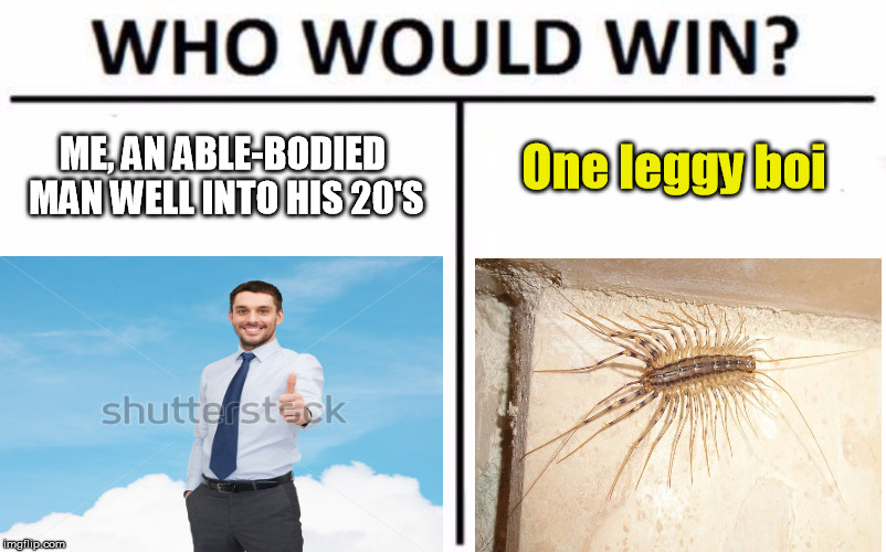 Who would win? Centipede  | One leggy boi; ME, AN ABLE-BODIED MAN WELL INTO HIS 20'S | image tagged in who would win,boi | made w/ Imgflip meme maker