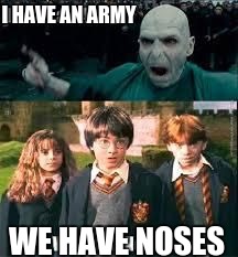 burned! | I HAVE AN ARMY; WE HAVE NOSES | image tagged in harry potter | made w/ Imgflip meme maker