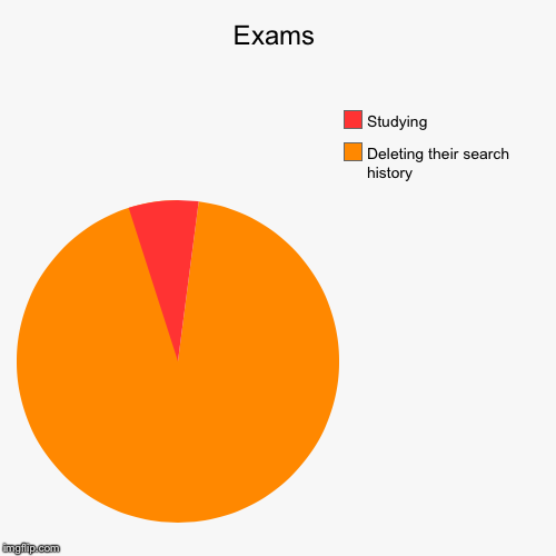 Exams | Deleting their search history, Studying | image tagged in funny,pie charts | made w/ Imgflip chart maker