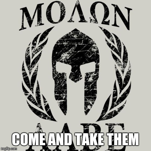 COME AND TAKE THEM | image tagged in molon labe,come and take them,2nd amendment | made w/ Imgflip meme maker