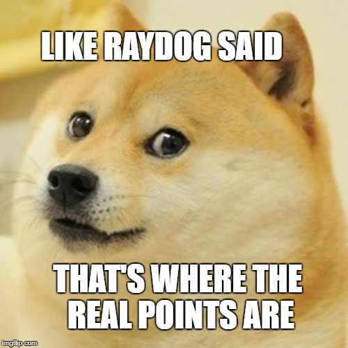 Doge Meme | LIKE RAYDOG SAID THAT'S WHERE THE REAL POINTS ARE | image tagged in memes,doge | made w/ Imgflip meme maker