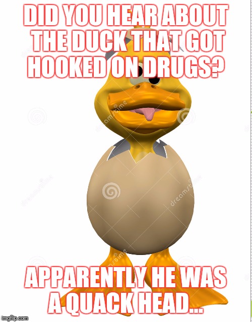 Quackery  | DID YOU HEAR ABOUT THE DUCK THAT GOT HOOKED ON DRUGS? APPARENTLY HE WAS A QUACK HEAD... | image tagged in first world problems | made w/ Imgflip meme maker