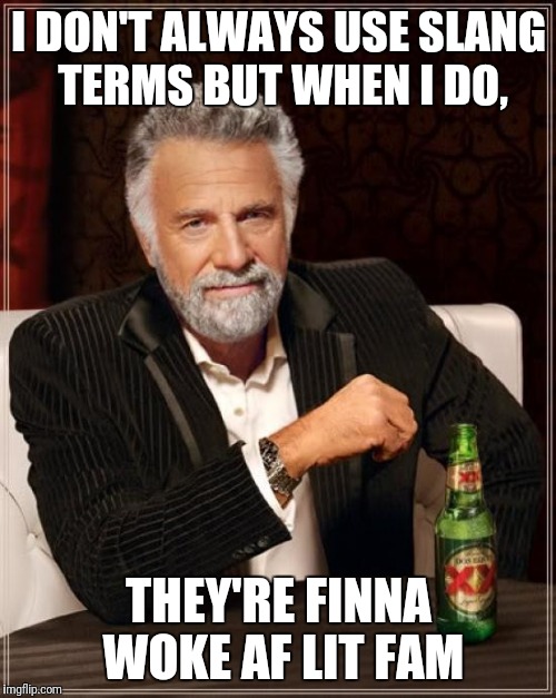 The Most Interesting Man In The World Meme | I DON'T ALWAYS USE SLANG TERMS BUT WHEN I DO, THEY'RE FINNA WOKE AF LIT FAM | image tagged in memes,the most interesting man in the world | made w/ Imgflip meme maker