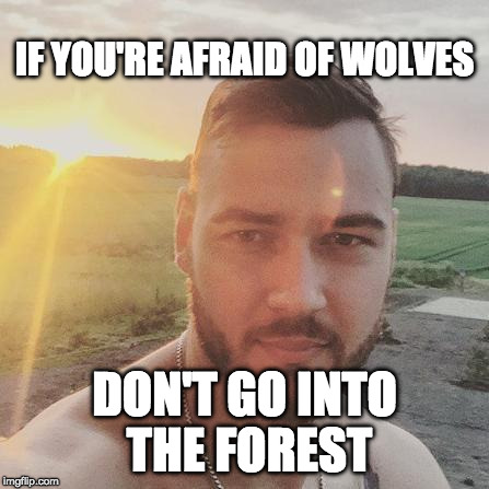 Motiejunas | IF YOU'RE AFRAID OF WOLVES; DON'T GO INTO THE FOREST | image tagged in motiejunas | made w/ Imgflip meme maker