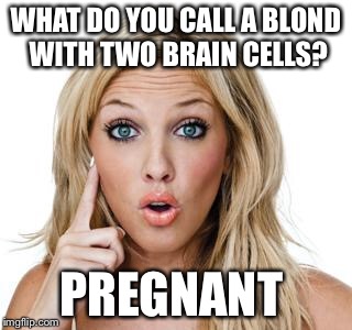 What do you call a blond with two brain cells? | WHAT DO YOU CALL A BLOND WITH TWO BRAIN CELLS? PREGNANT | image tagged in dumb blonde,what do you call a blond with two brain cells | made w/ Imgflip meme maker