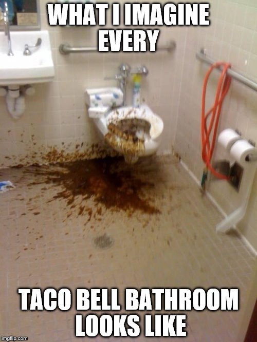 Girls poop too | WHAT I IMAGINE EVERY; TACO BELL BATHROOM LOOKS LIKE | image tagged in girls poop too | made w/ Imgflip meme maker