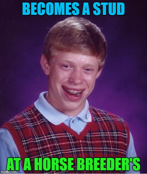 Bad Luck Brian Meme | BECOMES A STUD AT A HORSE BREEDER'S | image tagged in memes,bad luck brian | made w/ Imgflip meme maker