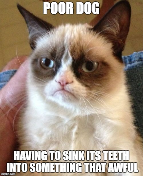 Grumpy Cat Meme | POOR DOG HAVING TO SINK ITS TEETH INTO SOMETHING THAT AWFUL | image tagged in memes,grumpy cat | made w/ Imgflip meme maker