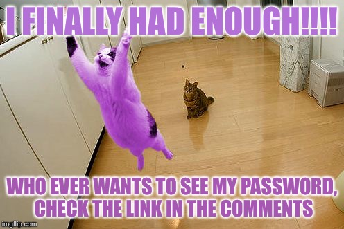 RayCat save the world | I FINALLY HAD ENOUGH!!!! WHO EVER WANTS TO SEE MY PASSWORD, CHECK THE LINK IN THE COMMENTS | image tagged in raycat save the world,memes | made w/ Imgflip meme maker