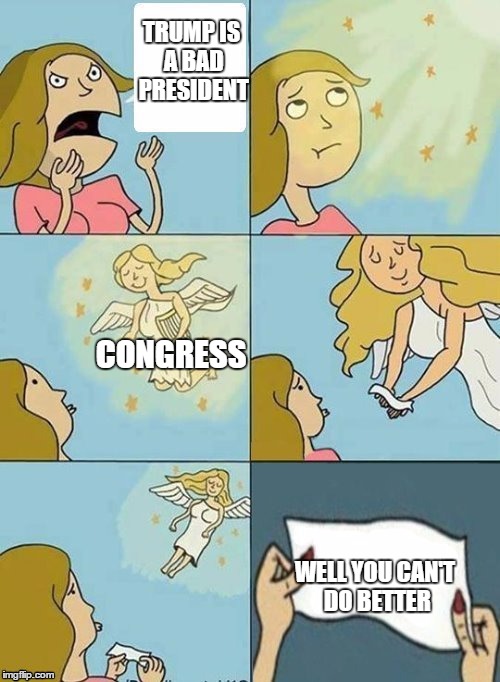 Congress don't care | TRUMP IS A BAD PRESIDENT; CONGRESS; WELL YOU CAN'T DO BETTER | image tagged in we don't care | made w/ Imgflip meme maker