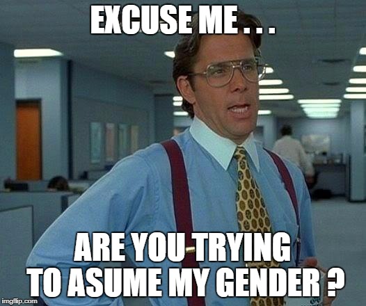 That Would Be Great Meme | EXCUSE ME . . . ARE YOU TRYING TO ASUME MY GENDER ? | image tagged in memes,that would be great | made w/ Imgflip meme maker