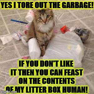 YES I TORE OUT THE GARBAGE! IF YOU DON'T LIKE IT THEN YOU CAN FEAST ON THE CONTENTS OF MY LITTER BOX HUMAN! | image tagged in rebel cat | made w/ Imgflip meme maker