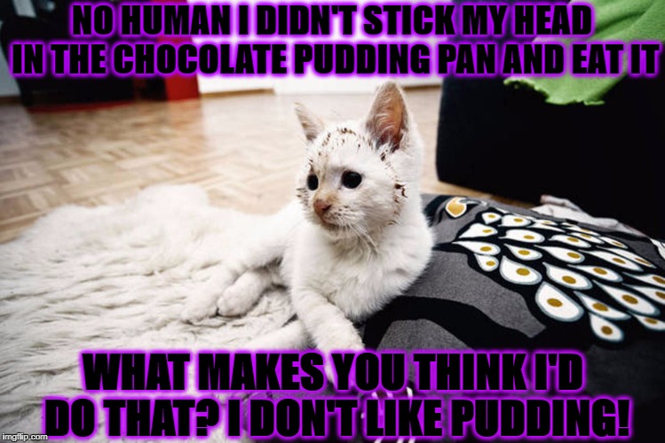 NO HUMAN I DIDN'T STICK MY HEAD IN THE CHOCOLATE PUDDING PAN AND EAT IT; WHAT MAKES YOU THINK I'D DO THAT? I DON'T LIKE PUDDING! | image tagged in bad liar cat | made w/ Imgflip meme maker