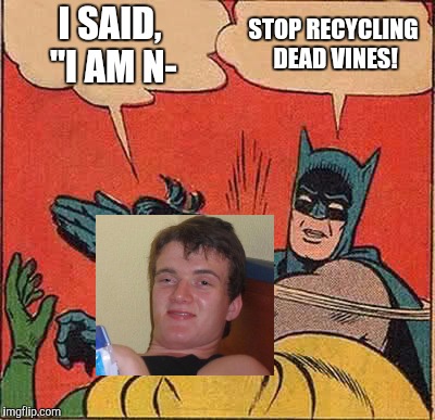 Batman Slapping Robin Meme | I SAID, "I AM N- STOP RECYCLING DEAD VINES! | image tagged in memes,batman slapping robin | made w/ Imgflip meme maker