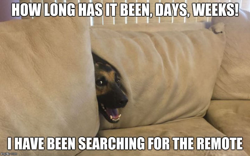 looking for remote dog | HOW LONG HAS IT BEEN, DAYS, WEEKS! I HAVE BEEN SEARCHING FOR THE REMOTE | image tagged in ill just wait here | made w/ Imgflip meme maker