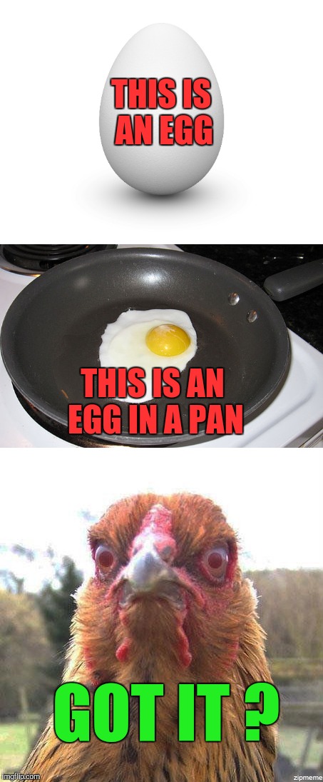 This Is Your Brain On Memes | THIS IS AN EGG; THIS IS AN EGG IN A PAN; GOT IT ? | image tagged in memes,drug commercial | made w/ Imgflip meme maker