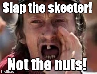 Slap the skeeter! Not the nuts! | made w/ Imgflip meme maker