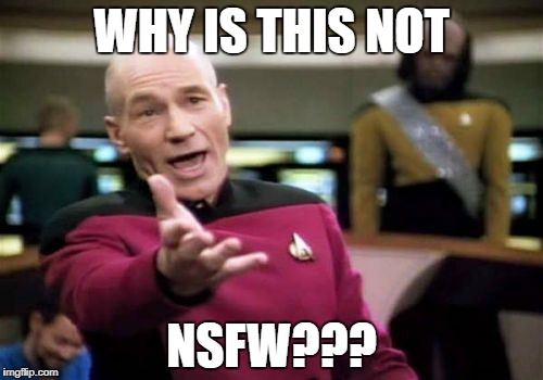 Picard Wtf Meme | WHY IS THIS NOT NSFW??? | image tagged in memes,picard wtf | made w/ Imgflip meme maker