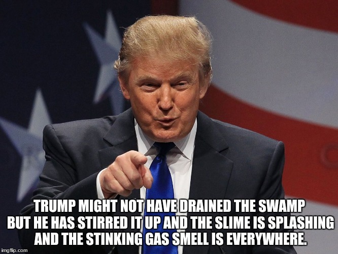 Donald trump | TRUMP MIGHT NOT HAVE DRAINED THE SWAMP BUT HE HAS STIRRED IT UP AND THE SLIME IS SPLASHING AND THE STINKING GAS SMELL IS EVERYWHERE. | image tagged in donald trump | made w/ Imgflip meme maker