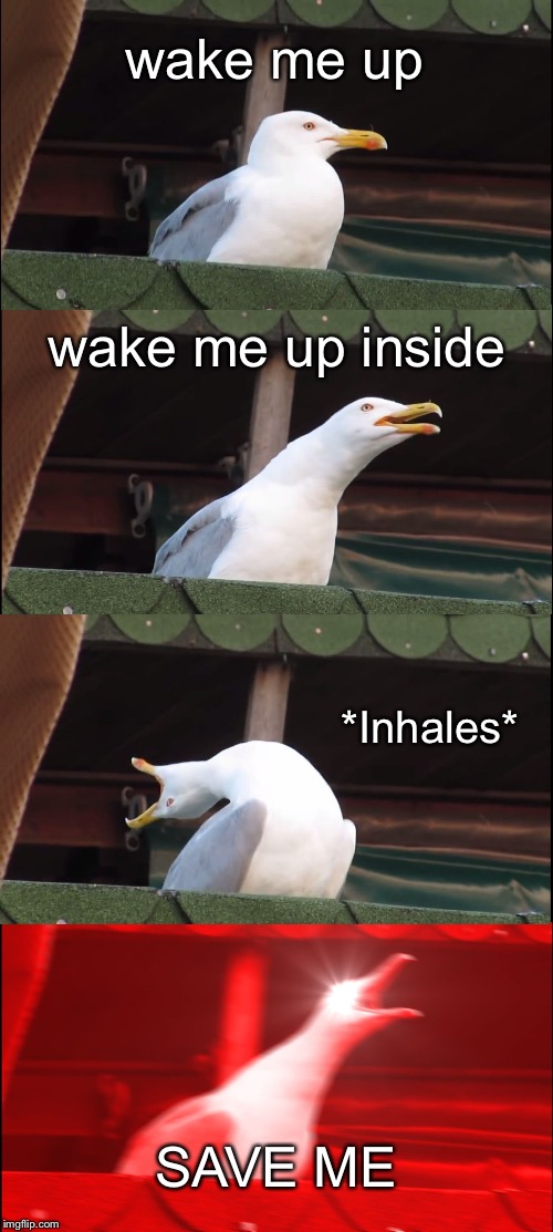 Inhaling Seagull Meme | wake me up; wake me up inside; *Inhales*; SAVE ME | image tagged in memes,inhaling seagull | made w/ Imgflip meme maker
