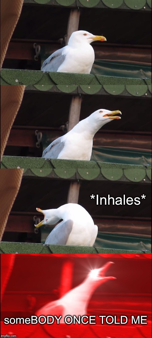 Inhaling Seagull Meme | *Inhales*; someBODY ONCE TOLD ME | image tagged in memes,inhaling seagull | made w/ Imgflip meme maker