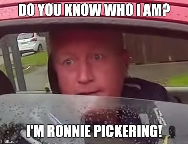 Pickering a fight | DO YOU KNOW WHO I AM? I'M RONNIE PICKERING! | image tagged in pickering a fight | made w/ Imgflip meme maker