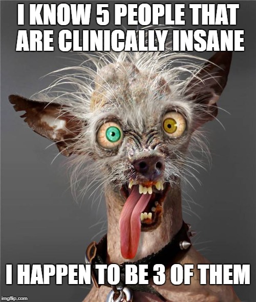 CRAZY DAYS | I KNOW 5 PEOPLE THAT ARE CLINICALLY INSANE; I HAPPEN TO BE 3 OF THEM | image tagged in crazy | made w/ Imgflip meme maker