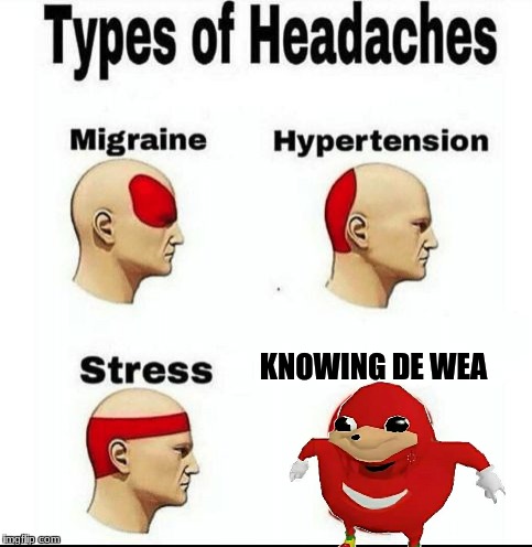 Types of Headaches meme | KNOWING DE WEA | image tagged in types of headaches meme,ugandan knuckles,do you know the way,de wae | made w/ Imgflip meme maker