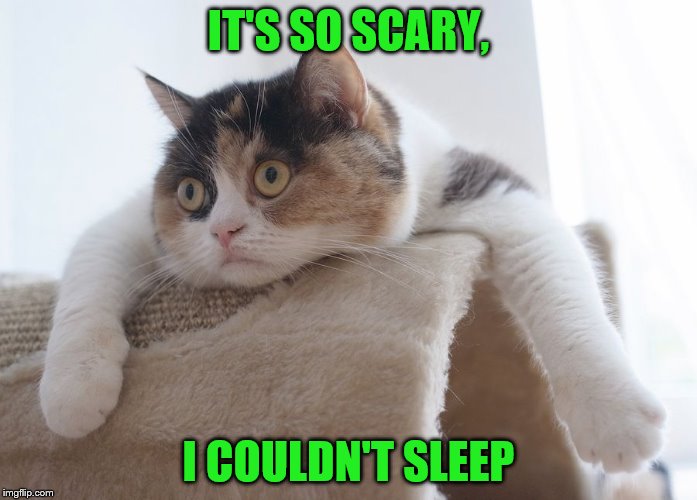 IT'S SO SCARY, I COULDN'T SLEEP | made w/ Imgflip meme maker