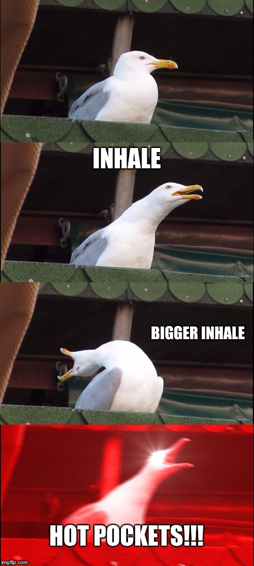 Inhaling Seagull Meme | INHALE; BIGGER INHALE; HOT POCKETS!!! | image tagged in memes,inhaling seagull | made w/ Imgflip meme maker