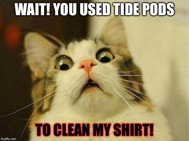 Scared Cat Meme | WAIT! YOU USED TIDE PODS; TO CLEAN MY SHIRT! | image tagged in memes,scared cat | made w/ Imgflip meme maker