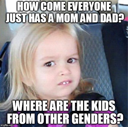 Confused Little Girl | HOW COME EVERYONE JUST HAS A MOM AND DAD? WHERE ARE THE KIDS FROM OTHER GENDERS? | image tagged in confused little girl | made w/ Imgflip meme maker