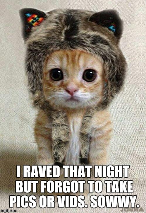 cute kitty likes metal | I RAVED THAT NIGHT BUT FORGOT TO TAKE PICS OR VIDS. SOWWY. | image tagged in cute kitty likes metal | made w/ Imgflip meme maker
